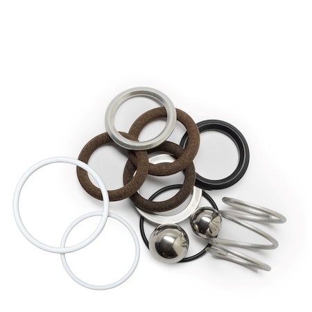 Bedford Precision Parts Bedford Precision Pump Service Kit Minor For Speeflo 182-050 20-579